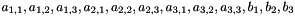 $ a_{1,1}, a_{1,2}, a_{1,3}, a_{2,1}, a_{2,2}, a_{2,3}, a_{3,1}, a_{3,2}, a_{3,3}, b_{1}, b_{2}, b_{3} $